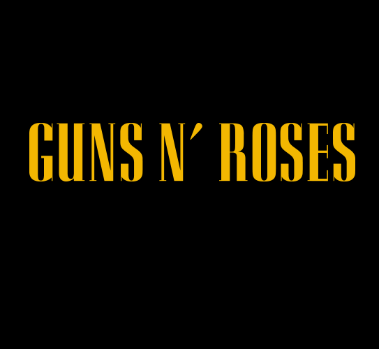 Camiseta Infantil Guns N' Roses Preta RIFF STUDIO